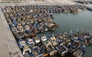 Les pêcheurs de Dakhla dénoncent l’exploitation irrationnelle des ressources halieutiques