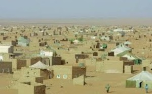 Pillage et insécurité dans les camps de Tindouf