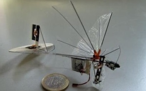 Des scientifiques néerlandais s'envolent vers le futur avec un "insecte-drone"