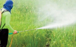 Les pesticides contaminent bien l'environnement
