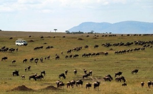 La crise du tourisme au Kenya