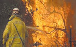 Les équipes d'intervention à pied d’œuvre pour circonscrire les incendies de forêt 