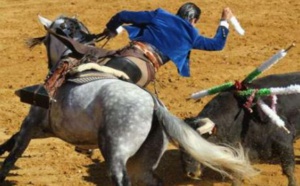 Au cœur de la Californie, la communauté portugaise fait vivre la corrida sans effusion de sang