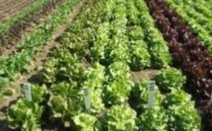 L'agriculture biologique dans la région de  l'Oriental au centre d'une journée d'étude à Oujda