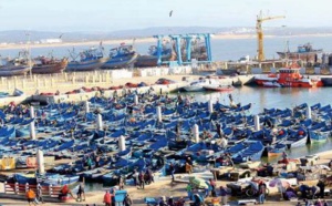 Les débarquements de la pêche côtière et artisanale dans le port d'Essaouira en hausse de 53% à fin juillet