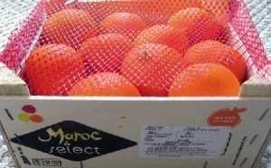 Fin de la querelle Maroc-UE à propos de l’accès des fruits et légumes au marché européen