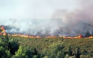 Incendie de forêt près de Tétouan