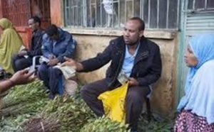 La baisse des ventes de khat a un goût amer pour l’Ethiopie