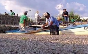 Des milliers de poissons retrouvés morts dans un lac mexicain