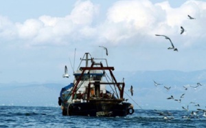 La flotte de pêche espagnole empêchée d’opérer au Maroc faute de licences