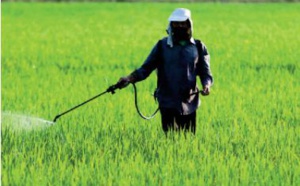 Fertilisants: Les initiatives d’OCP Africa mises en avant à Nairobi