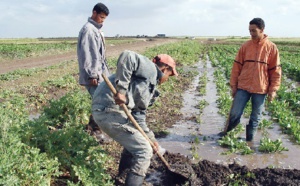 L’avenir du Maroc est dans les coopératives agricoles