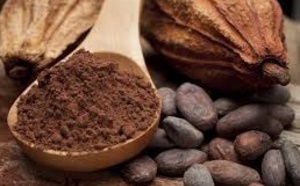 ​Les flavanols de cacao pourraient freiner  le déclin cognitif