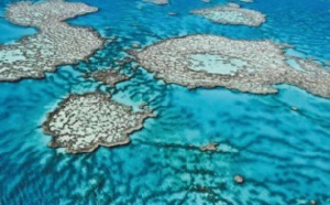 Le plan australien ne sauvera pas la Grande barrière de corail