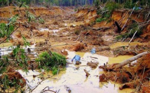 La ruée vers l'or provoque une catastrophe écologique dans l'Amazonie péruvienne