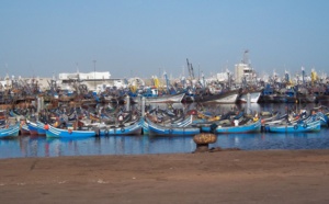 44 hauturiers bravent l’interdiction de pêche édictée par le département d’Akhennouch