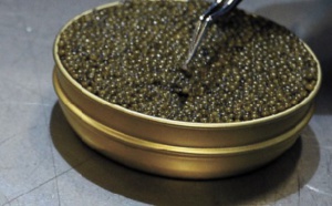 Du caviar albinos "made in Vietnam"