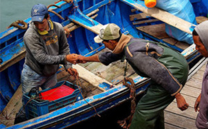 Les professionnels de la pêche côtière mécontents