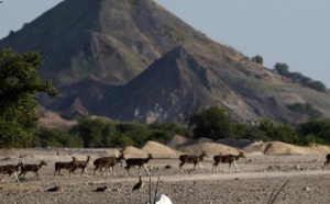 ​Une île en "Arche de Noé" comme un anti-Dubaï