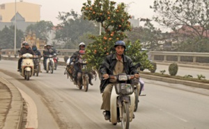 ​Au Vietnam, même les kumquats du Nouvel An sont victimes des pesticides