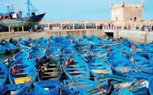 Baisse des débarquements de la pêche côtière et artisanale aux ports de Tan-Tan et Essaouira
