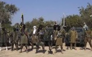 Plus de 1.000 civils tués par Boko Haram depuis début 2015