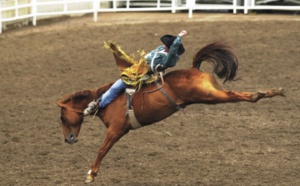 Les festivals à voir une fois dans sa vie : Le stampede de Calgary (Canada)