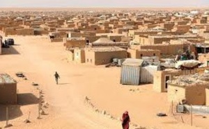 ​Le Groupe d'amitié UE-Maroc demande un recensement des populations de Tindouf