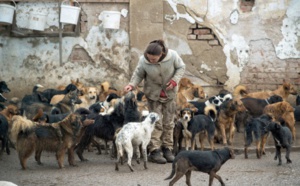 ​Sasa, le chômeur serbe aux 450 chiens