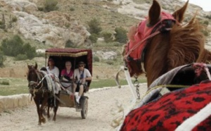 ​Derrière la carte postale, la souffrance des chevaux de Pétra