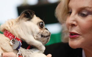 ​Entre l'homme et le chien, l'amour est dans le regard