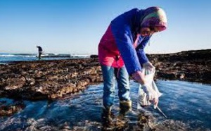 ​Etat des lieux des recherches écotoxicologiques au Maroc