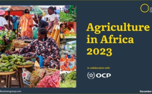 Oxford Business Group dévoile son rapport "Agriculture in Africa 2023"