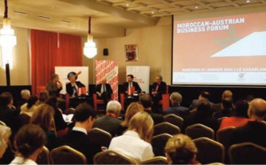 Maroc-Autriche : Pour le renforcement de la coopération dans le secteur de l'énergie
