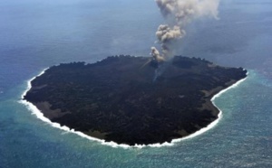 Une île volcanique au Japon révèle un laboratoire naturel du vivant