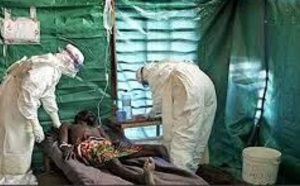 ​La souche du virus Ebola en Afrique de l'Ouest moins virulente que celle de 1976