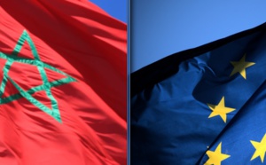 Echanges fructueux entre les parlementaires marocains et leurs homologues européens