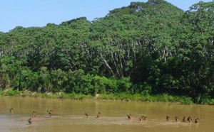 Les dernières tribus isolées d'Amazonie menacées par les contacts avec l'extérieur