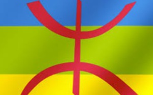 La contemporanéité de l'enseignement de l'amazigh dans les universités occidentales