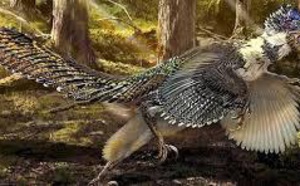 Un gros cousin du Velociraptor découvert en Chine