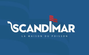 Holmarcom acquiert la majorité du capital de Scandimar