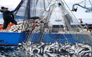 Ports situés sur la Méditerranée : Baisse de 20% des débarquements de pêche à fin juin dernier