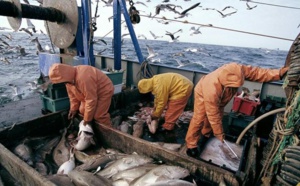 Port de Tanger: Les débarquements de pêche reculent de 32% à fin juin