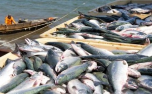 Port de Nador: Baisse de 13% des débarquements de la pêche à fin juin dernier