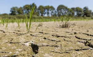 Migration climatique en Afrique du Nord: Complexité et enjeux