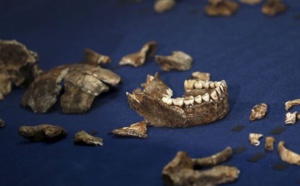 Découverte en Afrique du Sud de l’Homo naledi