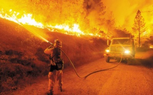 Etat d'urgence en Californie face à des feux monstres