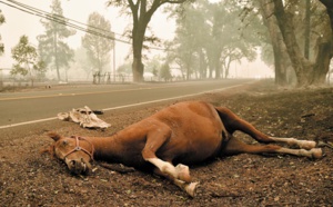 Les Etats-Unis croulent sous les catastrophes naturelles