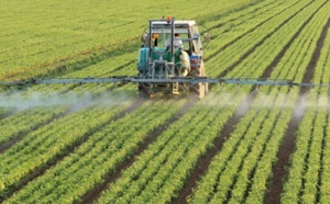 Les récentes précipitations promettent un bon démarrage de la campagne agricole