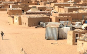 L'UE réitère son appui à une solution politique au Sahara